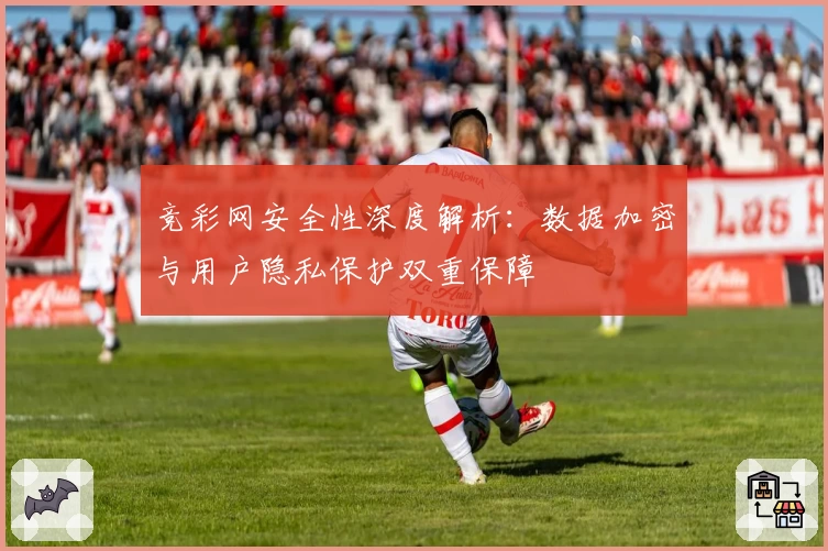 竞彩网安全性深度解析：数据加密与用户隐私保护双重保障