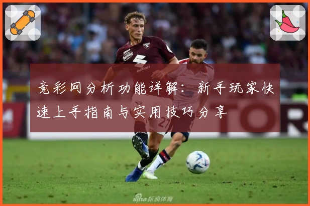 竞彩网分析功能详解：新手玩家快速上手指南与实用技巧分享